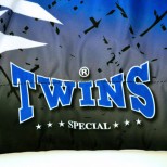 Шорты тайский бокс Twins Special (TBS-SUB1 blue)